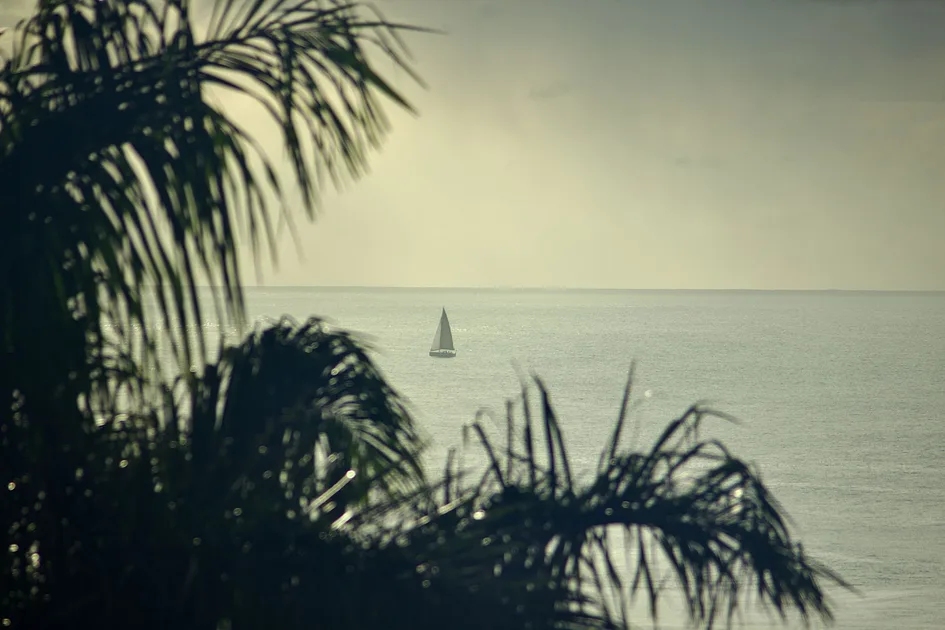 Sailboat