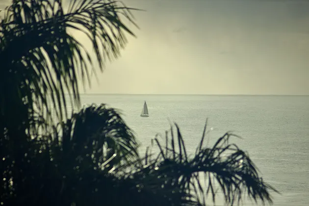 Sailboat